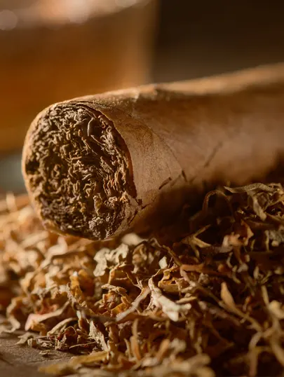 Tabac brun